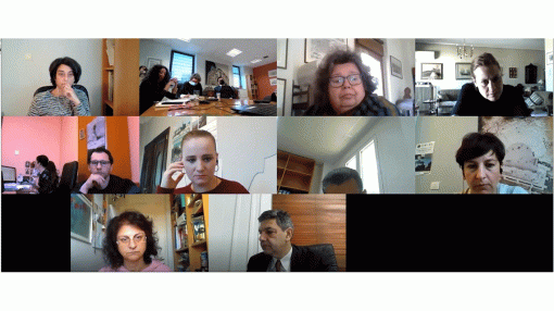6th Steering Committee Meeting of Mo.Na project via teleconference